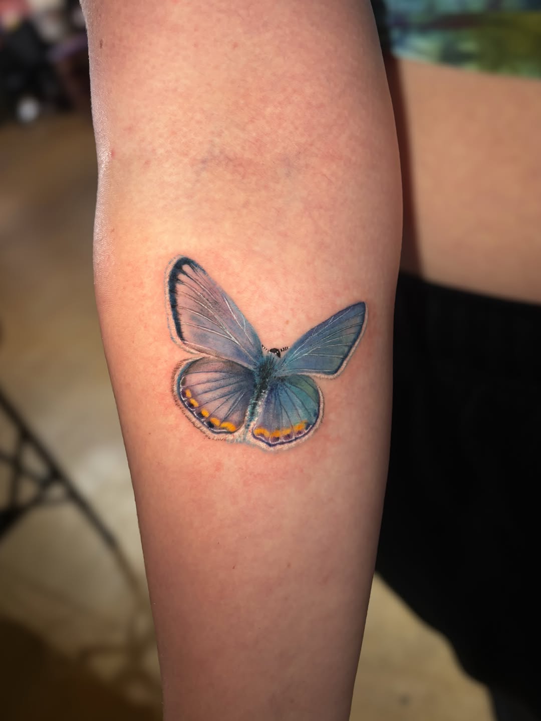 🕷️ F L A S H 🕸️

#sacramentotattoo #sacramentotattooartist #sacramentotattoos #sacramento
