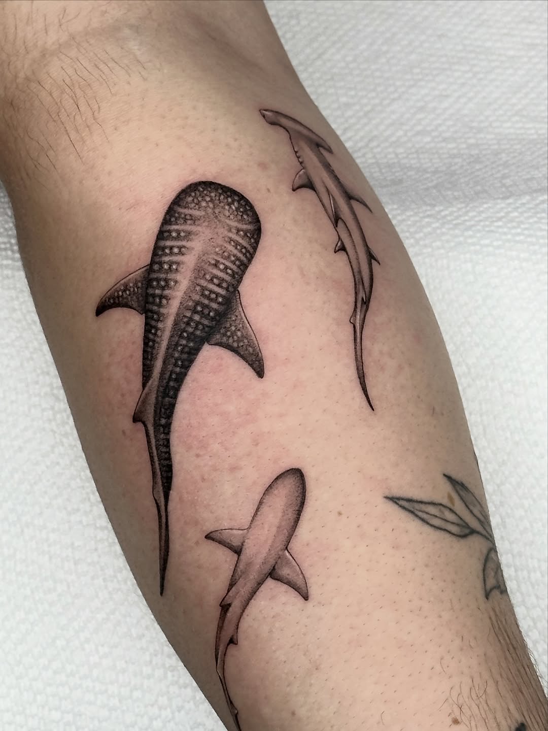 “I always wanted to bring to the artists a shop that they can feel really comfortable in...‘’ Barbara @barbara.tattooer shares her experience and feel