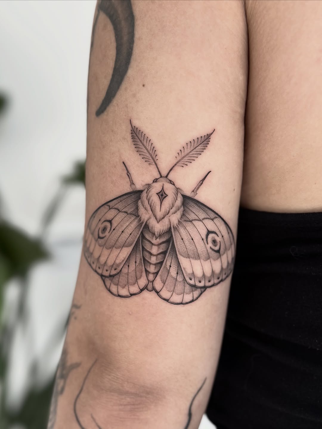Vintage Butterfly for my lovely @isabela.valotti ✨ thank you for trusting my work!
.
Done at @cendra_studio always with @jconly_official needles.
.
.