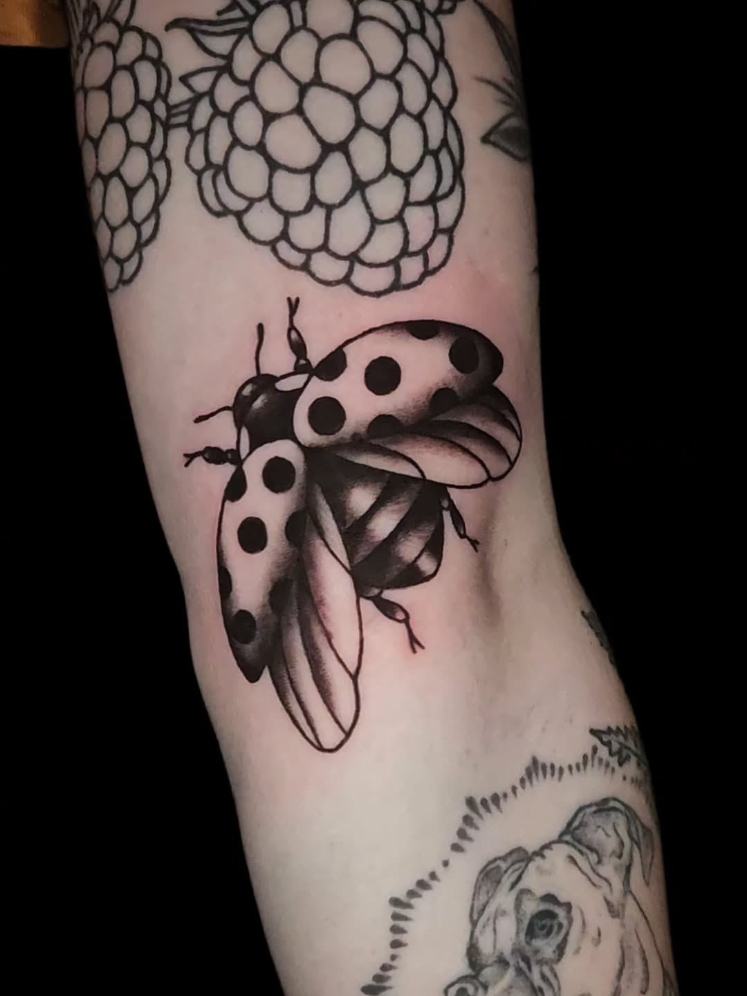 Second session in on this ornamental gauntlet. Sometimes you just have to work around some stuff.
I’ve got two spots left in October I’d love to fi