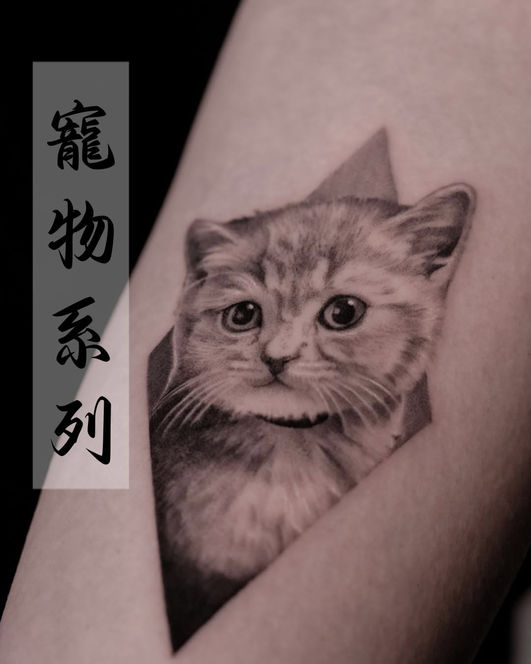 ▪️求婚當日拍攝照片(因為小狗有病,啟發左客人要珍惜眼前人,決定向女友求婚,而小狗便可以成為他們的證婚人,小狗於求婚3個月後離開了,客人希望將個個moment好好紀錄下來🫶🏻

蝴蝶,送別小狗後,在大廈門口見到一隻黑白色既蝴蝶係上空徘徊咗一陣,然後就飛走咗

紙鶴,離開嘅時候小狗係穿着住一件帶有