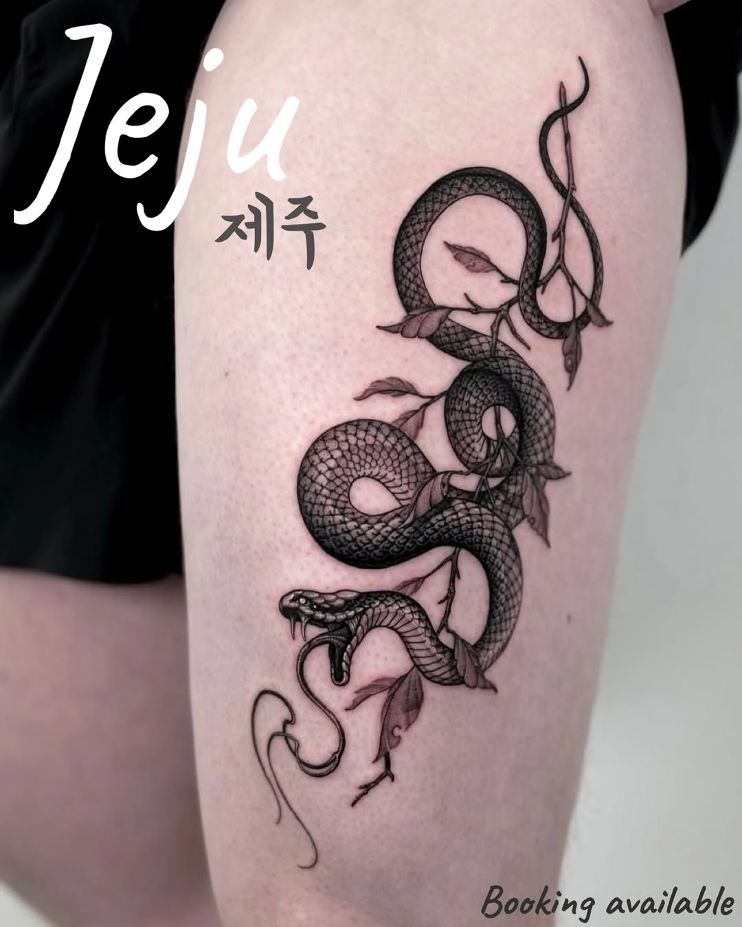 한국 문신전부터 대만, 중국 컨벤션까지 너무 좋은 시간을 보냈습니다.
싫은 티 안 내고 계속 무대에 올라가준 @sutak_tattooer 너무 고맙다
옆에서 많은 조언과 응원해 주던 대장 @sulhong_tattooer 고마워🫡
함께 기뻐해 준 @redwaikiki 