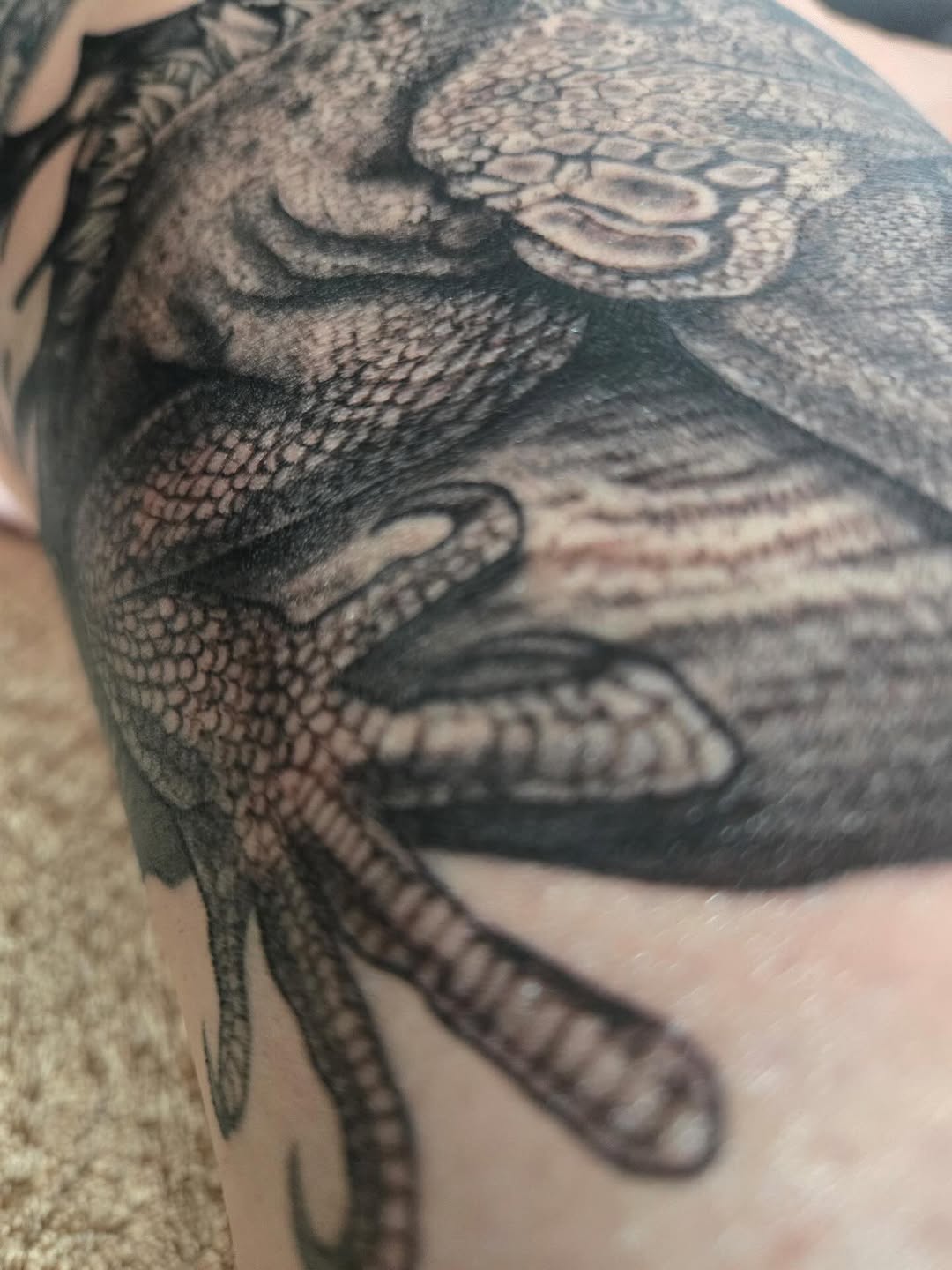 Work in progress! Please message to get in I have some availability this month and as always thanks for looking