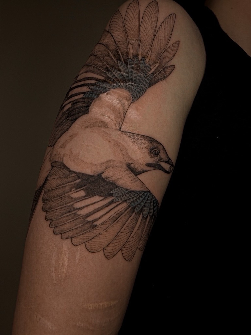 You’re welcome! I had fun making this.
⠀⠀⠀⠀⠀⠀⠀⠀⠀
#tattoophotography
#tattootips
#tattooartist
#tattoostudio
#tattoonetherlands