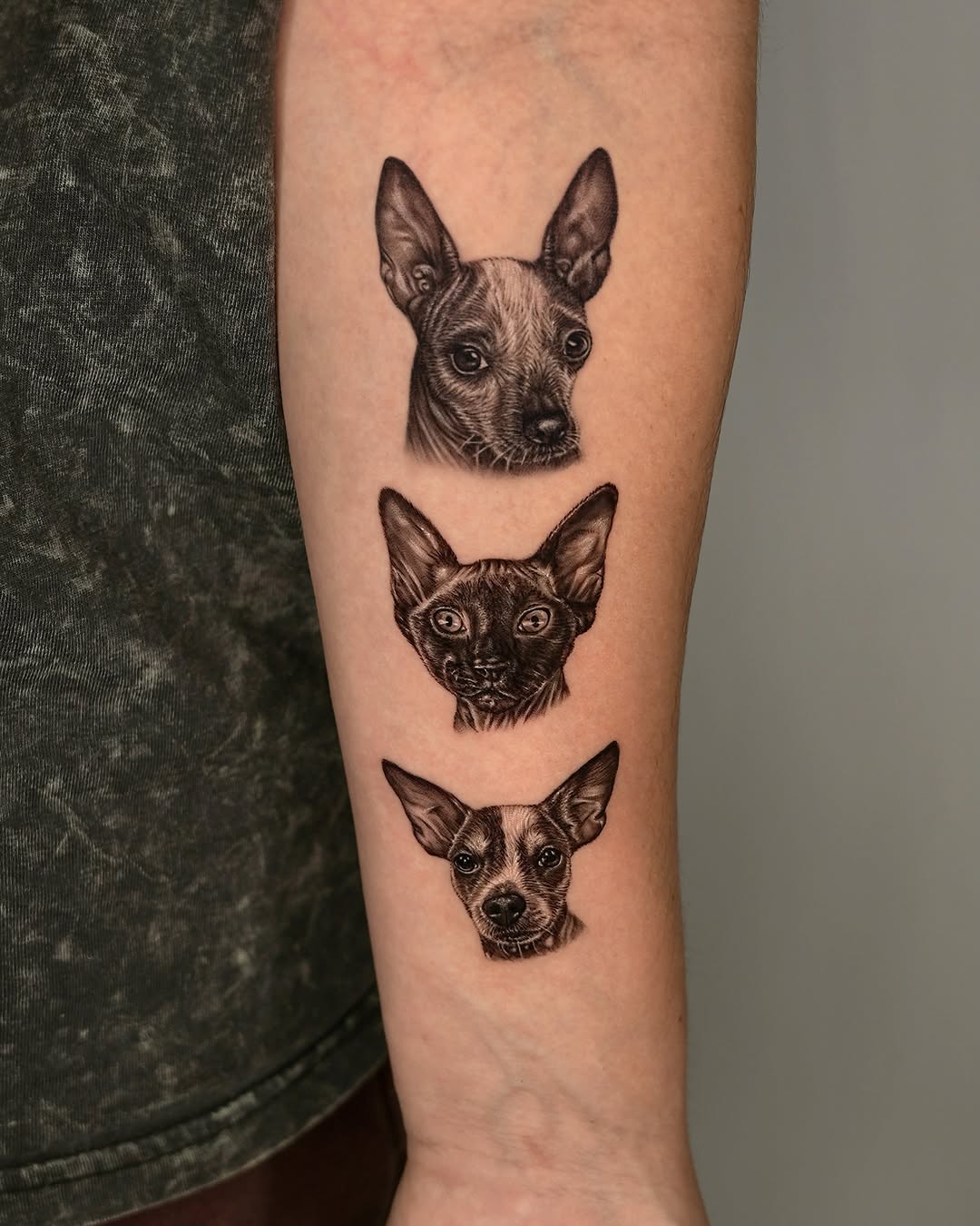 Echo, Calypso & Onyx
Smaller and smaller and smaller 🤏
.
.
#petportraittattoo #dog #melbournetattoo #tattoo
