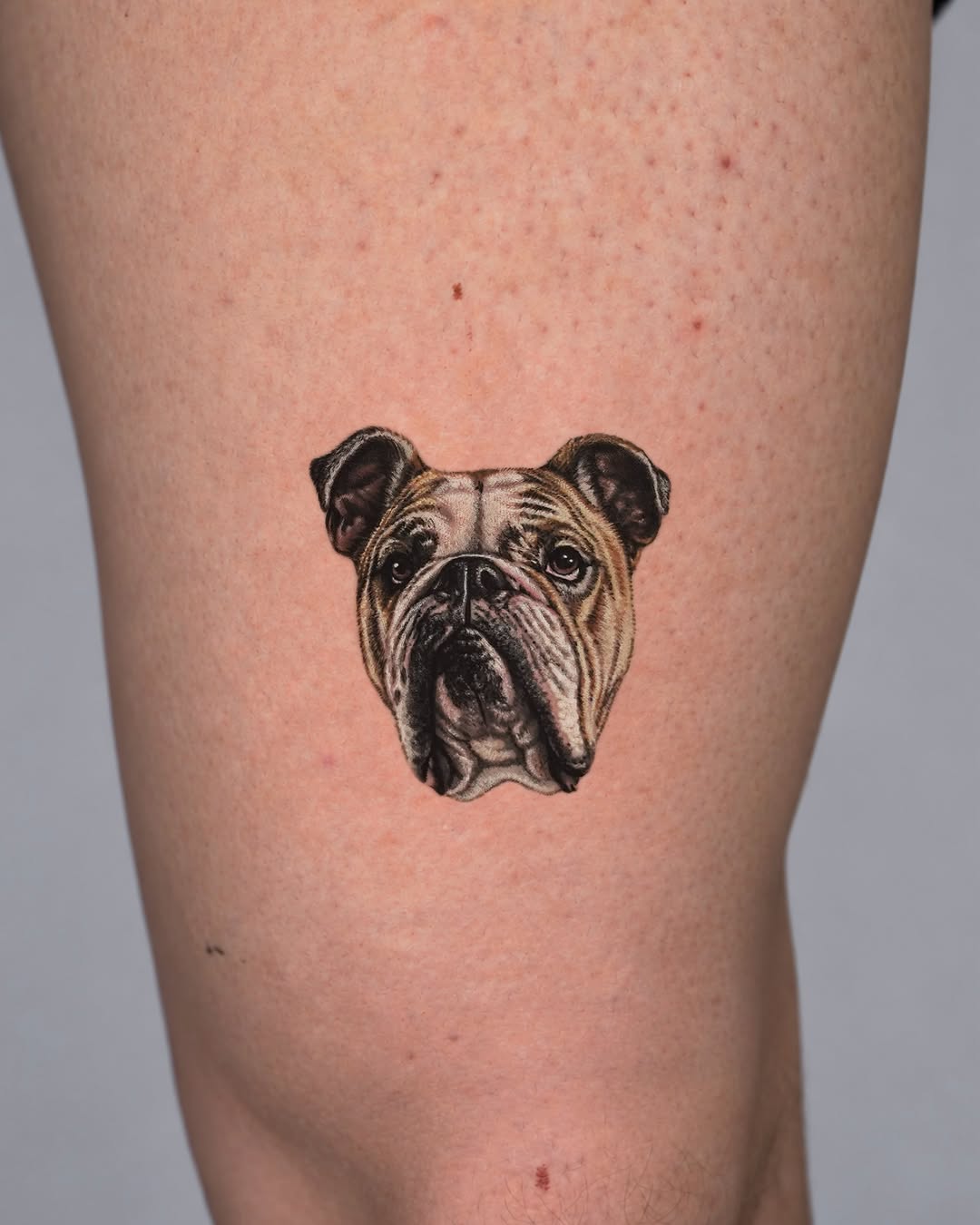 Her Little French bulldog
Fine line stencil lines with @phomemo_official
Amazon: https://amzn.to/3TActzf
.
.
.
#tattoo #tattoostencil #phomemo #pho