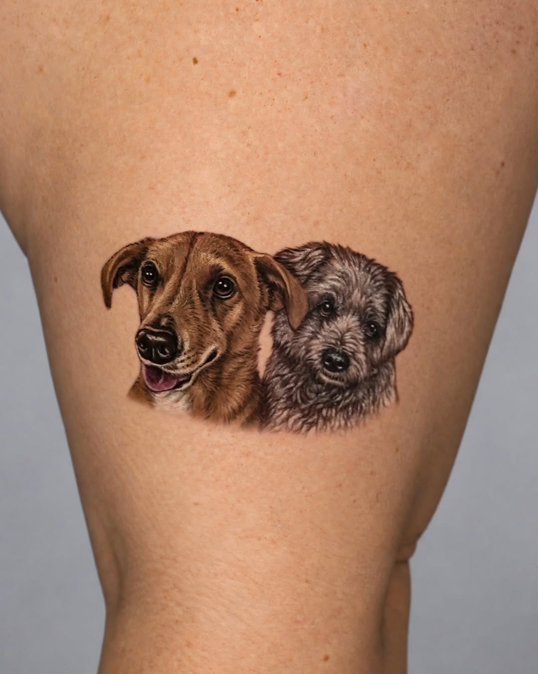 Runner
Paris,Stuttgart,London,Adelaide,Melbourne and Brisbane available
.
.
.
.
#dogtattoo #pet #tattoo #paristattoo