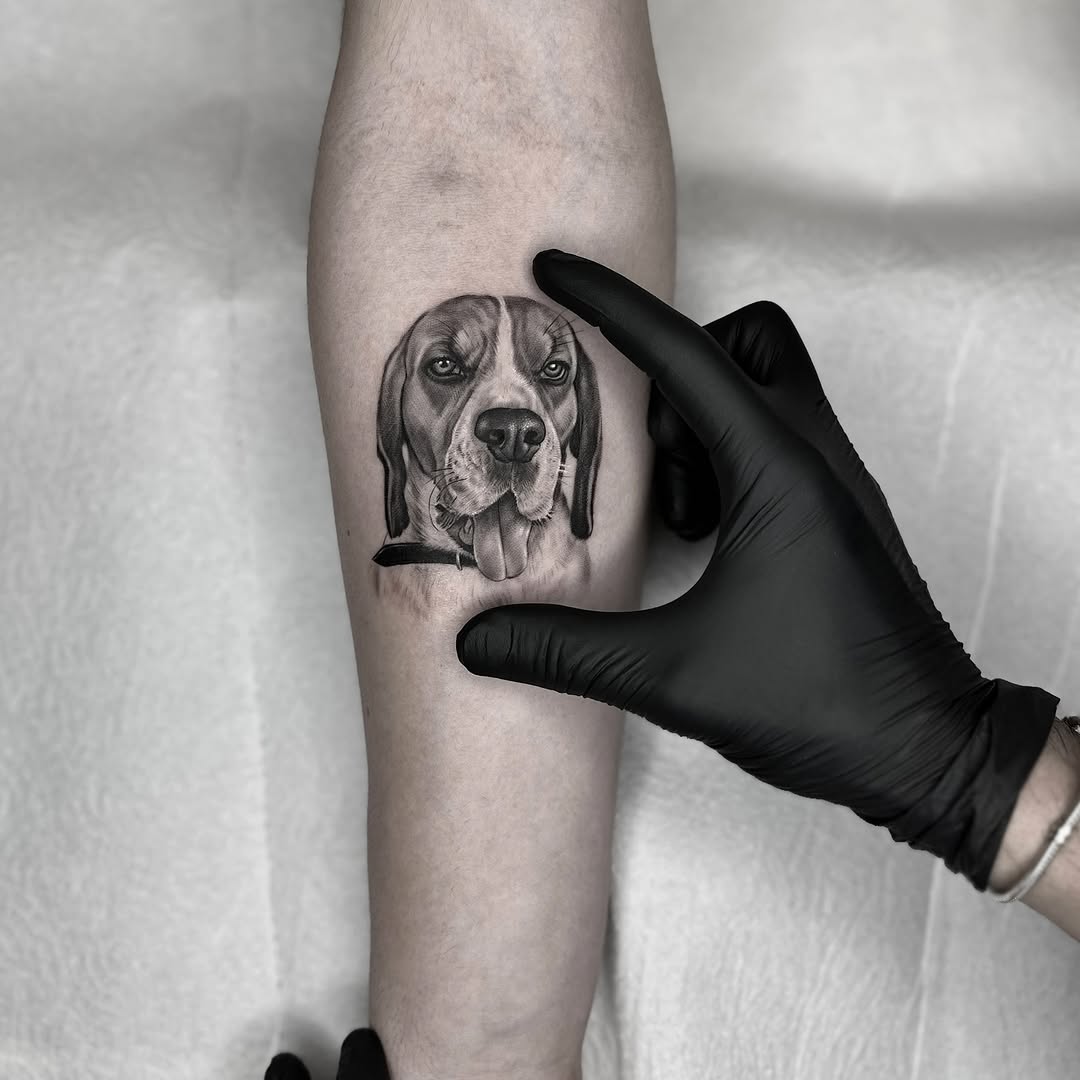 One more portrait “Alaz”
#ilyasargin #ilyasargintattoo #argtattoogallery #portraittattoo #portrait #tattoos #istanbul #kadıköy #turkeytattoo #tattoo