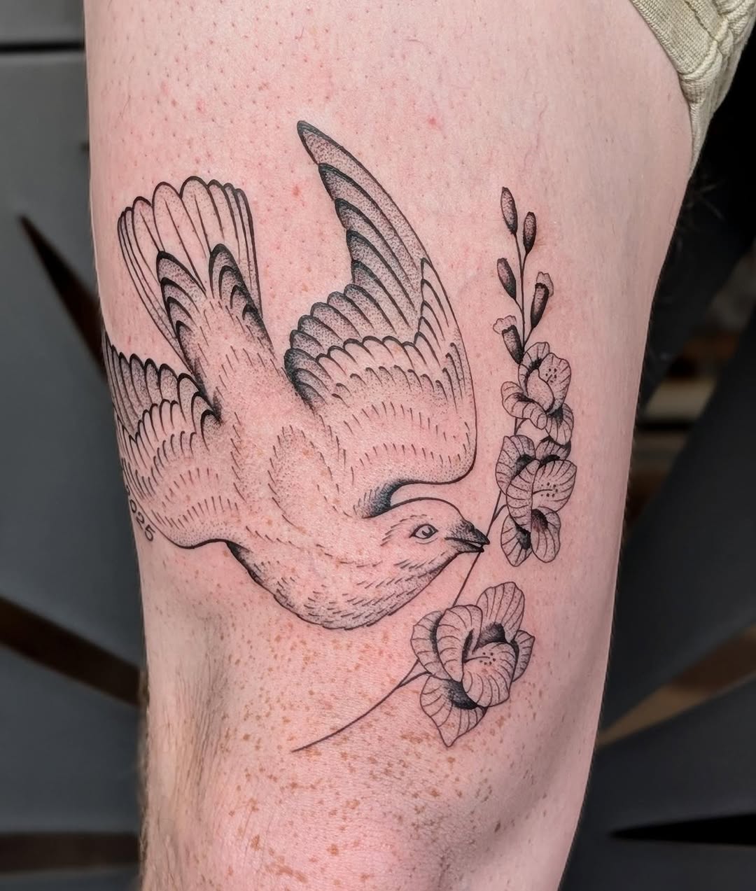 A dove for Andy. 
@inkanddaggertattoo 
.
.
.
#tattoo #tattoos #finelinetattoo #blackandgreytattoo #atlantatattooartist