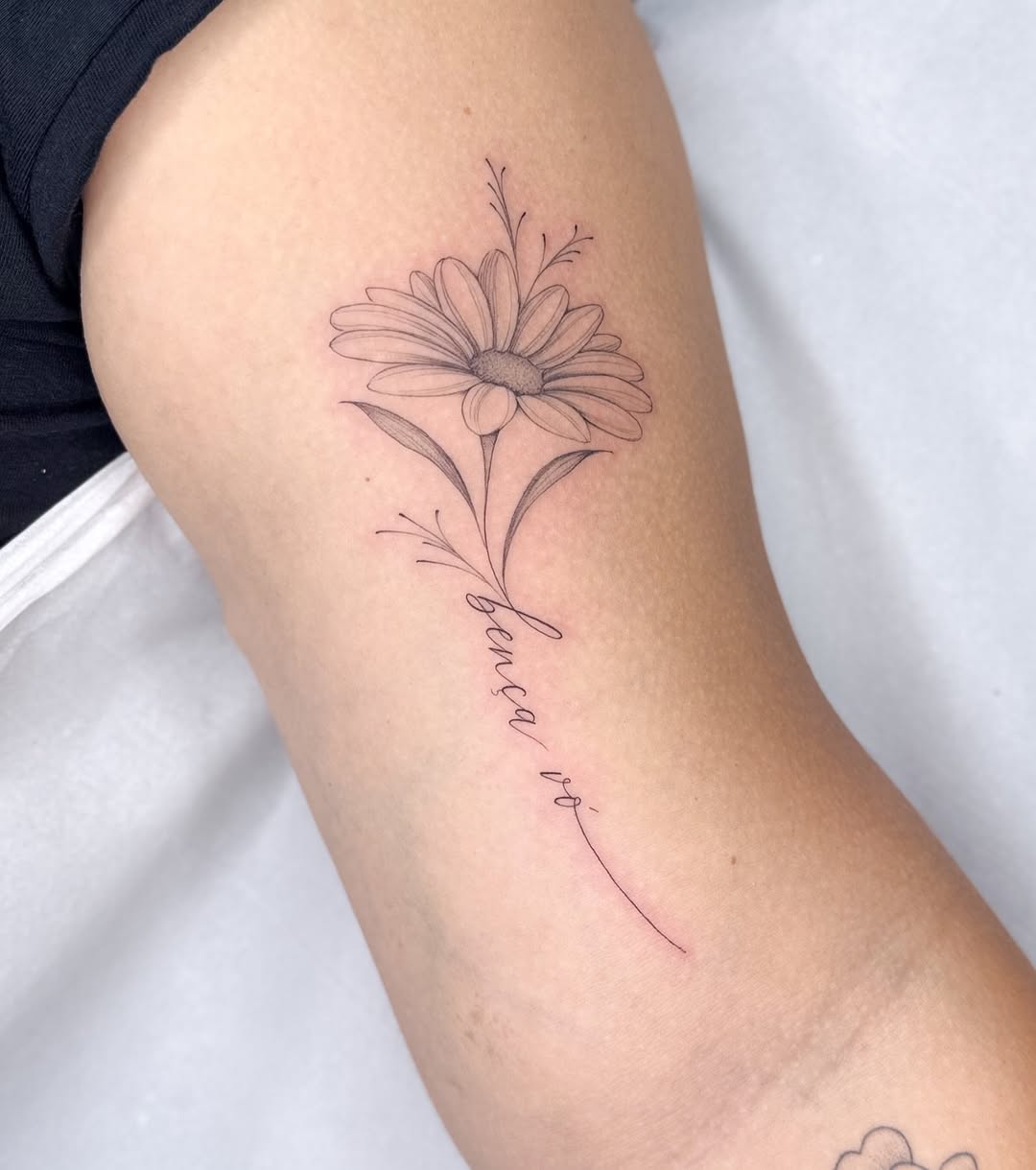 Com amor, para Anna Julia ✨