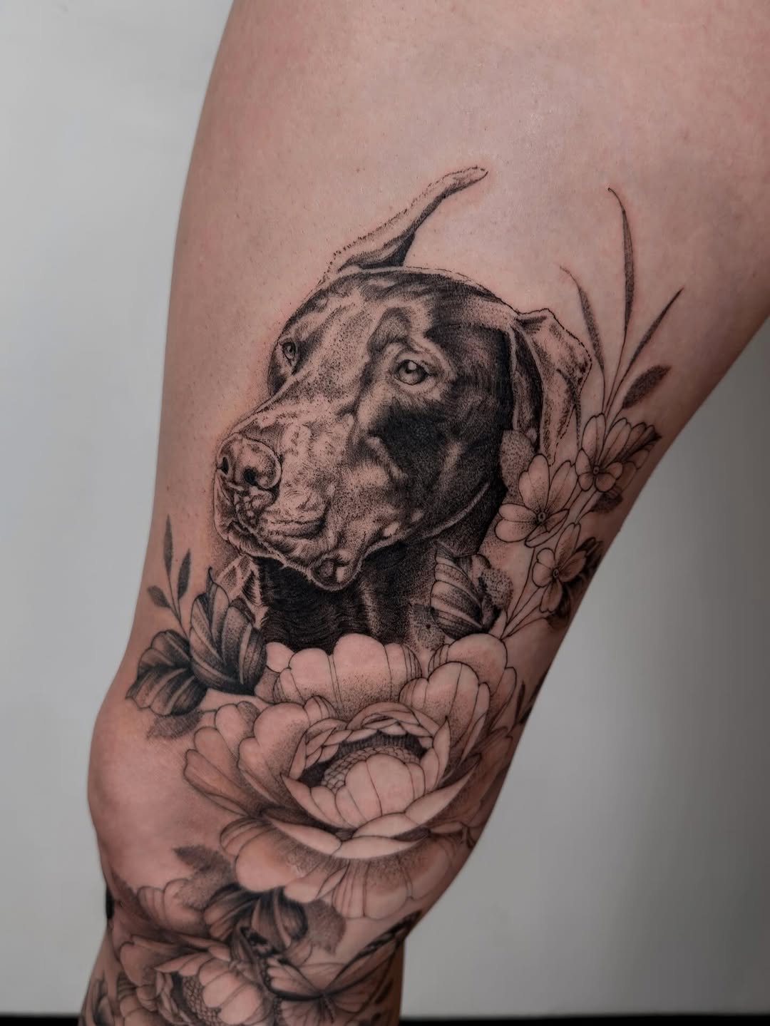 Couple fun doggos from this summer (paw prints not by me)

 Booking currently closed
.
.
.
.
.
.
.
.
.
#dogtattoos #finelinepettattoo #michigantattooe