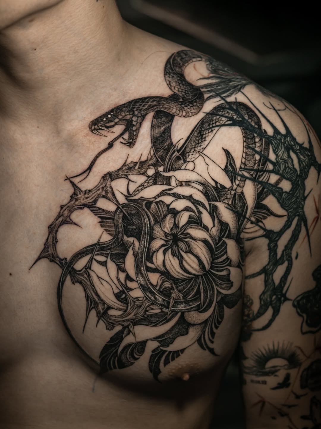 Ghost of Grace, Veiled in Hushed Violence πͺπ©Έ