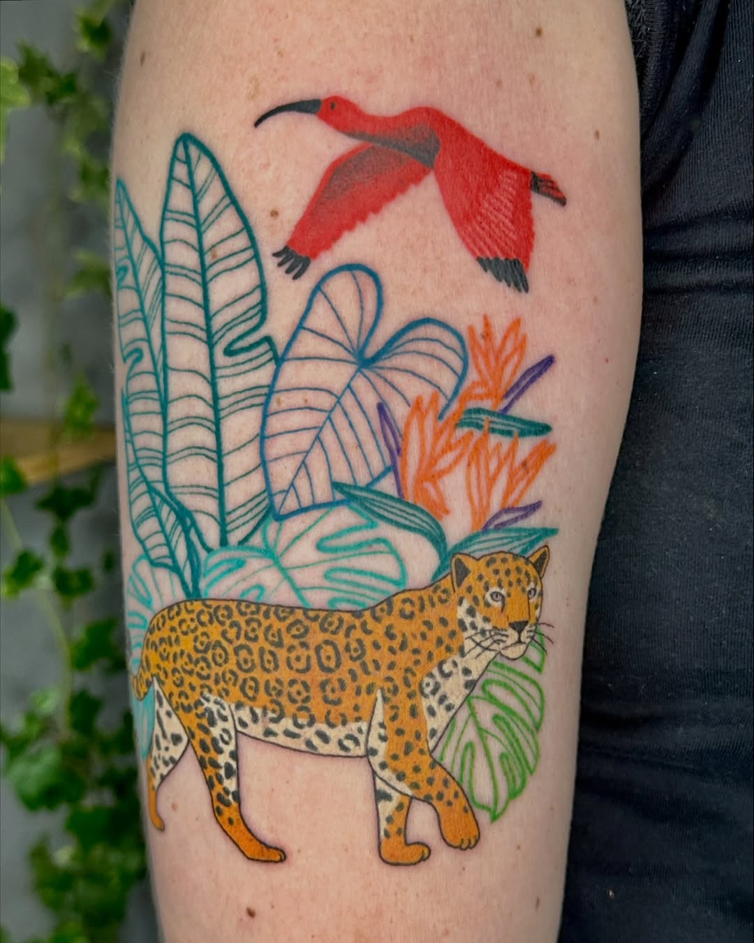 Onça, guará e flora brasileira para Marina
Muito obrigada novamente por confiar em meu trabalho para fazer algo tão significativo 💛
Eu amei! 

#color
