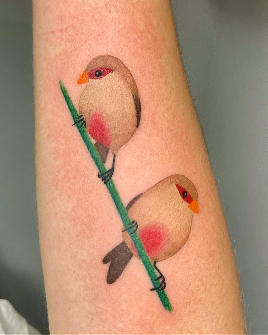 Pássaro bico-de-lacre para @marianacordeiro1908 
Muito obrigada pela confiança 🩷

#ttt #tatuagem #tatuagemsp #tattoosp #tatuadorassp #arte #tatuagemc
