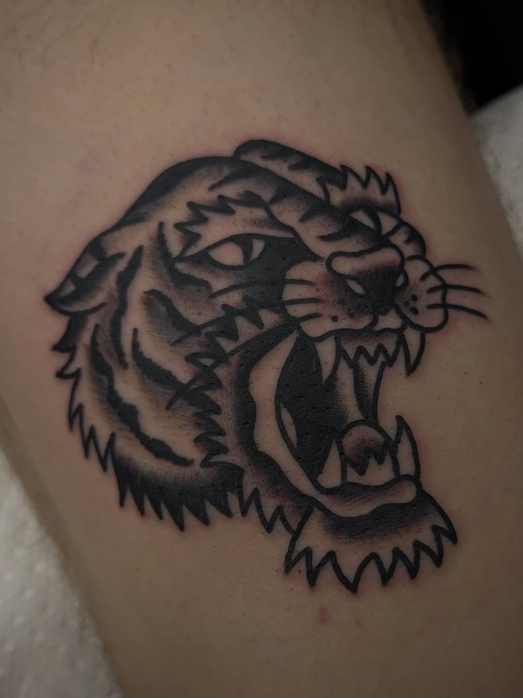 Some dragons an a fih.

Book that appointment with the link in my bio !