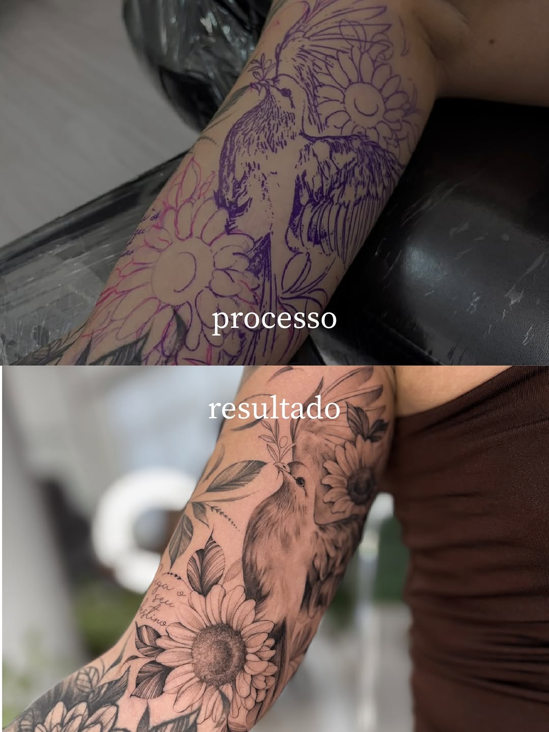 Família é força, proteção e amor e aconchego 🦁❤️
Representam a união de quem escolhe caminhar junto, proteger e amar em qualquer circunstância.

Tatu