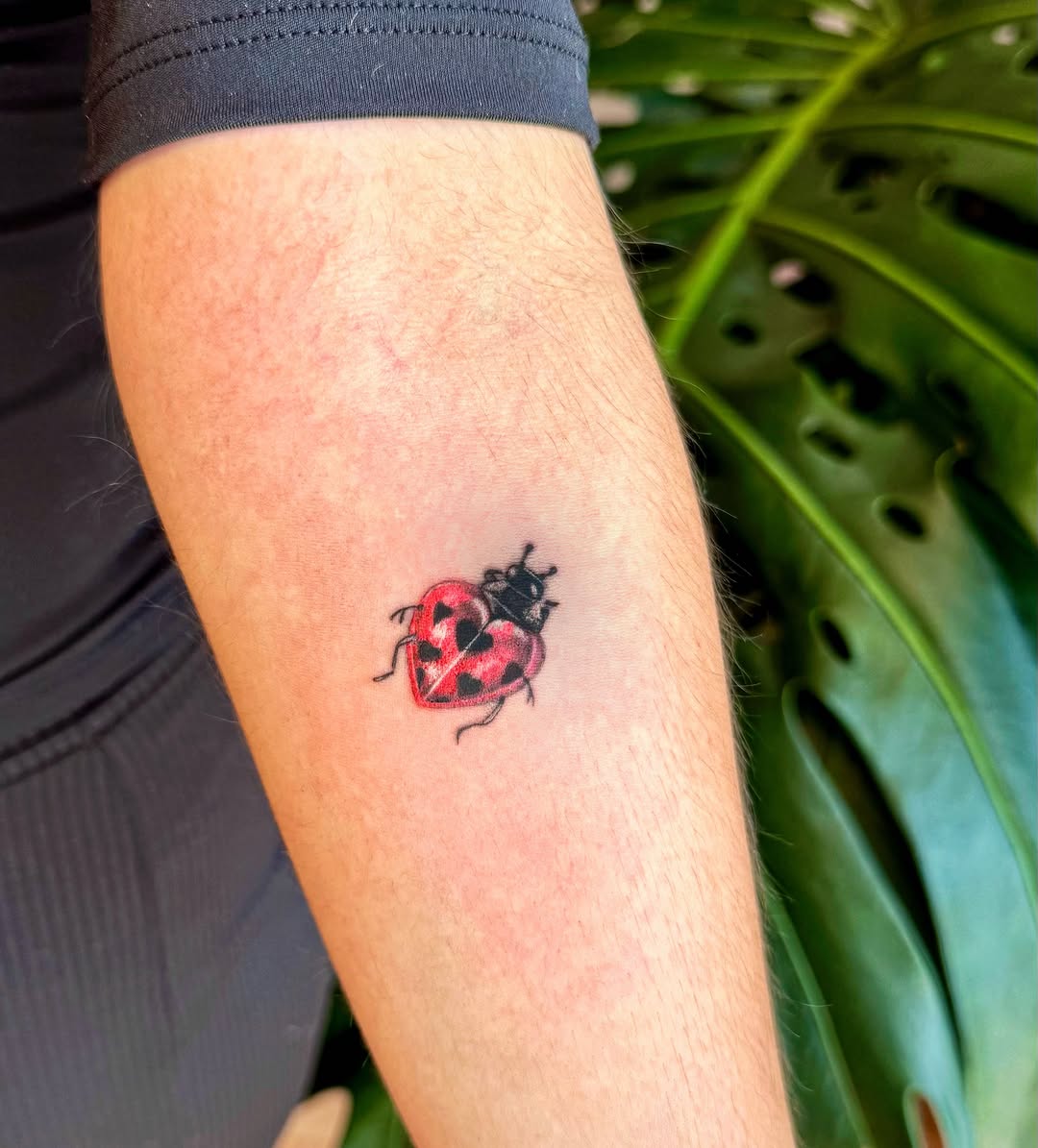Latín Mafia Tattoo
Diseñitos inspirados en las letras de sus canciones
Costo de $800
Pueden apartar su favorito con un anticipo de $200
Si les inte