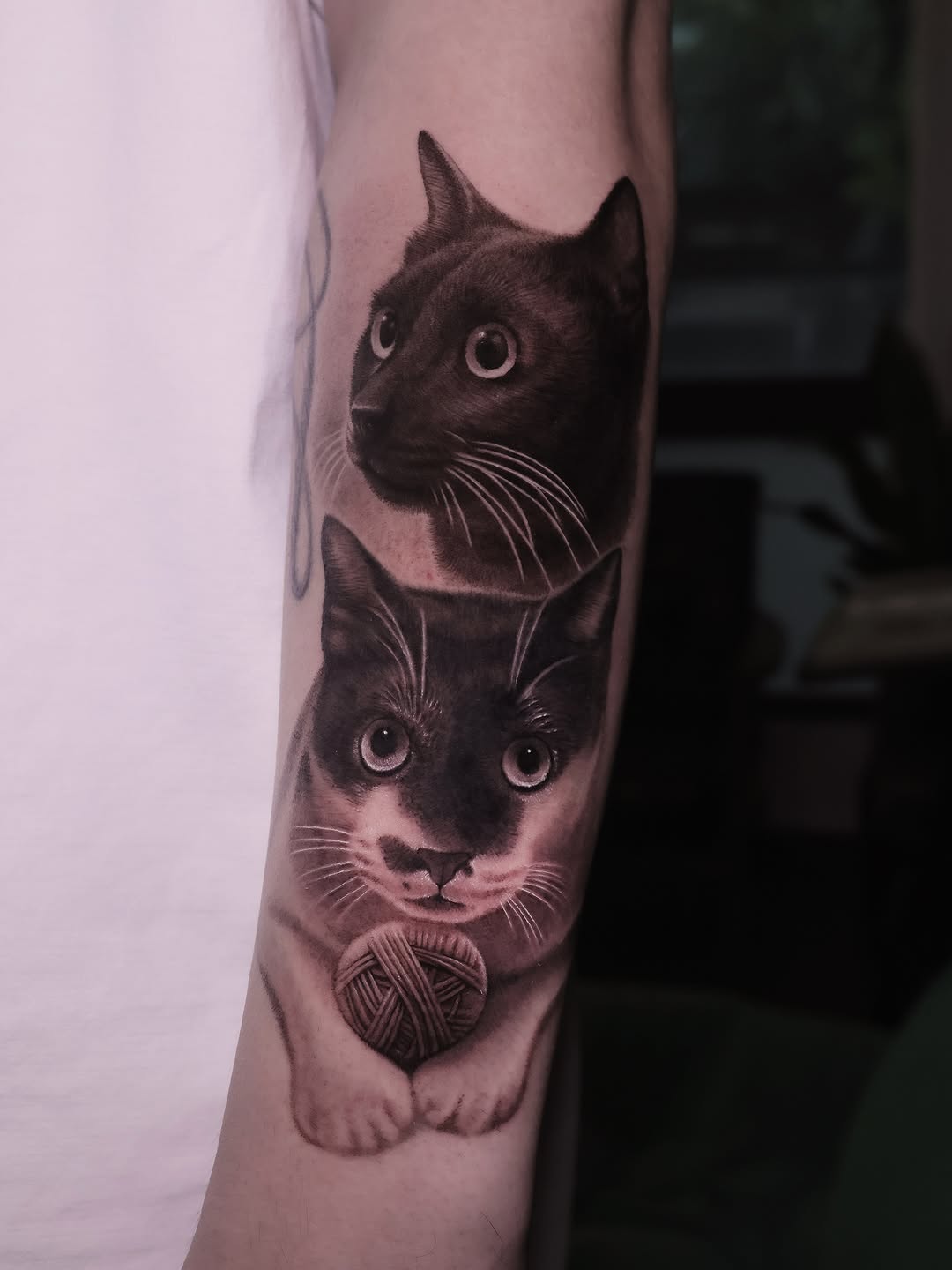 喵喵🐈⬛ 下趟還有一隻虎斑🐈
#cat #cattattoo #台中刺青 #寵物刺青 #寫實刺青