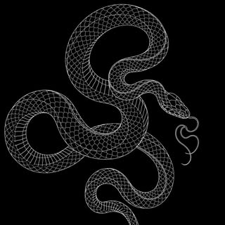 DK | Blackwork & Fine Line Tattoo Artist - Soundwave tattoo artist in Jeju, South Korea