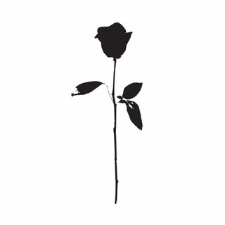 Fleur Noire Tattoo - Soundwave tattoo artist in Brooklyn, United States of America