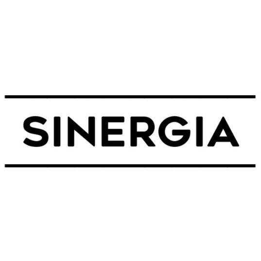 Sinergia Tattoo Studio - Soundwave tattoo artist in Mexico City, Mexico